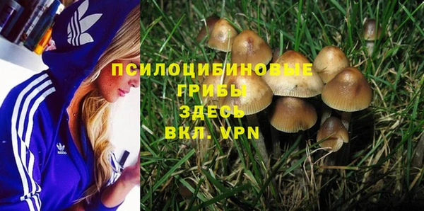 бошки Нея