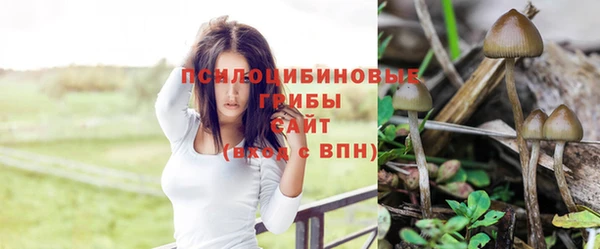 бошки Нея
