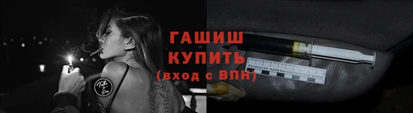 молекула духа Переславль-Залесский