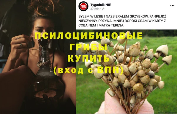 спиды Нефтегорск